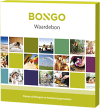 bongo
